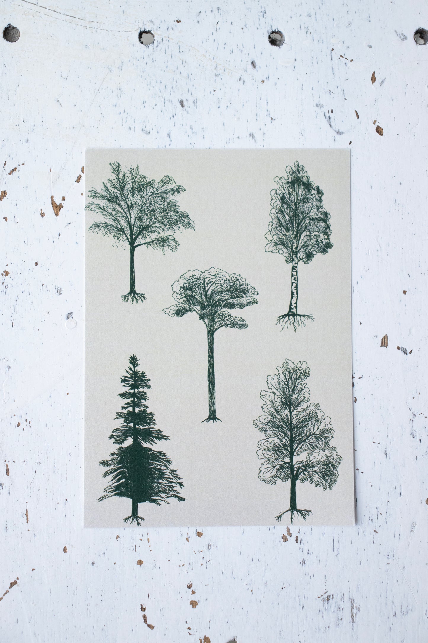 Cream and dark green tree postcard