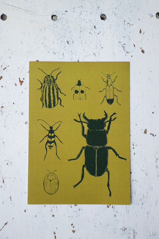 Mustard yellow beetle postcard