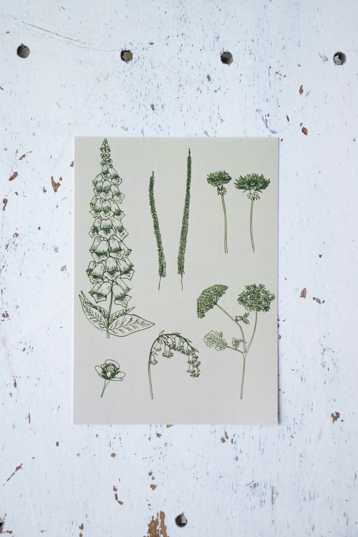 Cream and green wildflower postcard