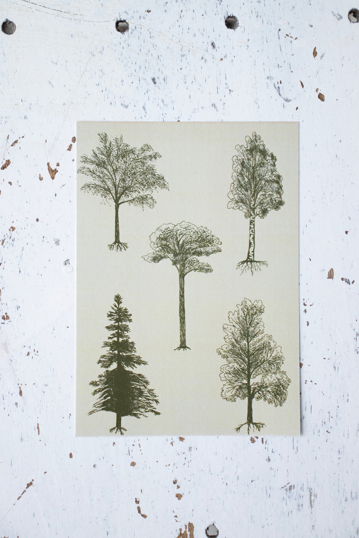 Cream and brown tree postcard