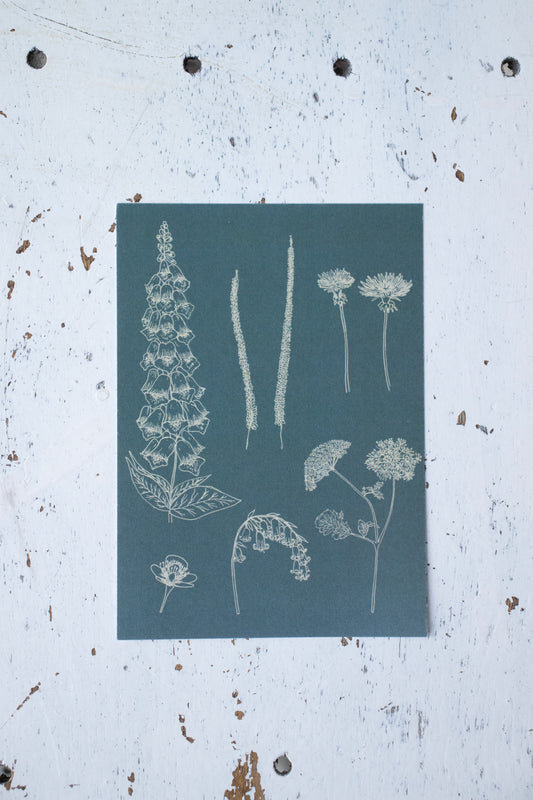 Teal wildflower postcard