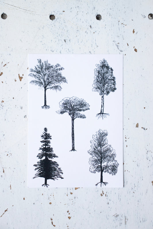 White tree postcard